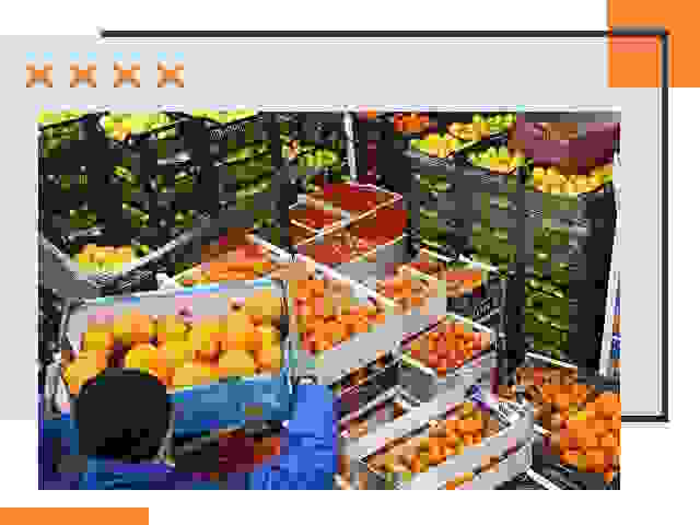 Перевозка скоропортящихся продуктов в Воркуте